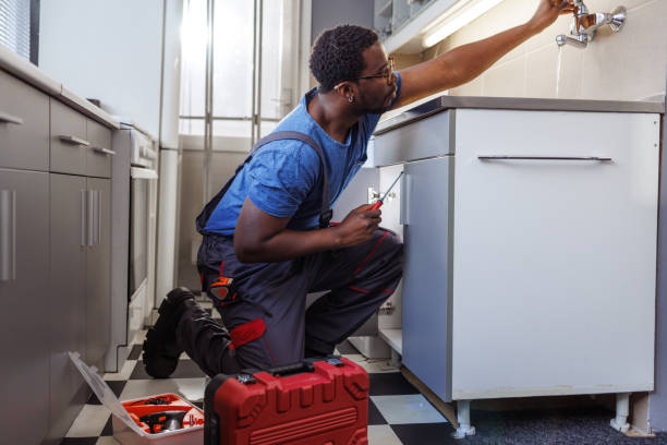 Best Drain Cleaning Services  in Avonia, PA